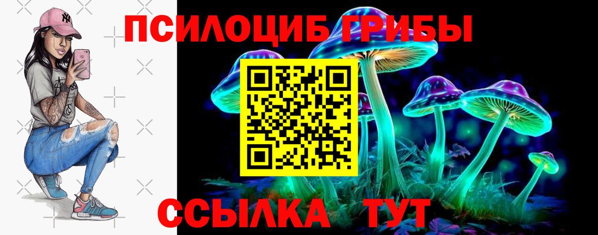 Псилоцибиновые грибы Psilocybe  Вход с VPN  Североуральск 