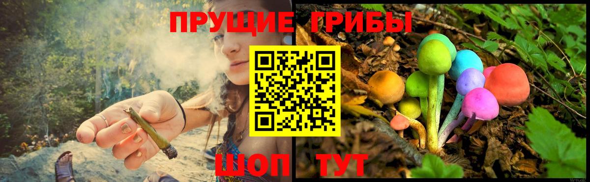 Псилоцибиновые грибы MAGIC MUSHROOMS Североуральск